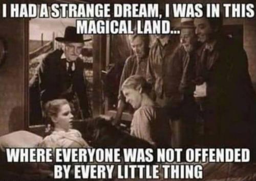 i was in this magical land