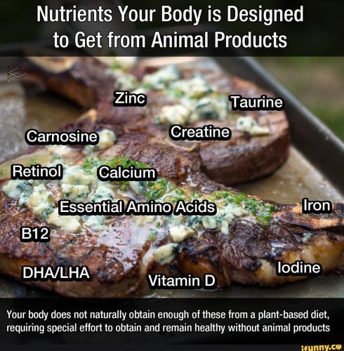 0660e870218ff5c984e45e44a162c6d3391ebccdb03253f37111437ac6ce52b9_1