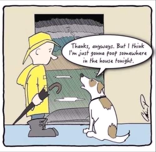 Screenshot_20220713-073026_YouTube