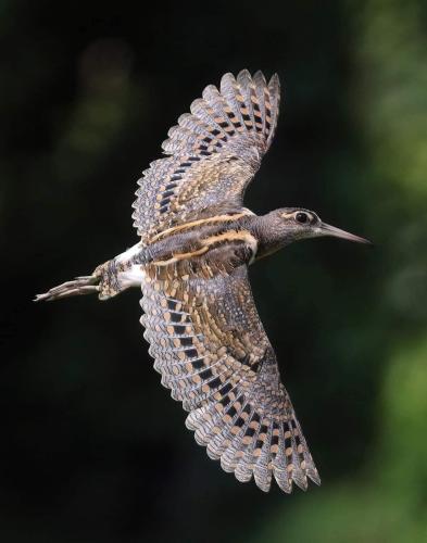 292290975_767423378040158_5919022564899583465_n