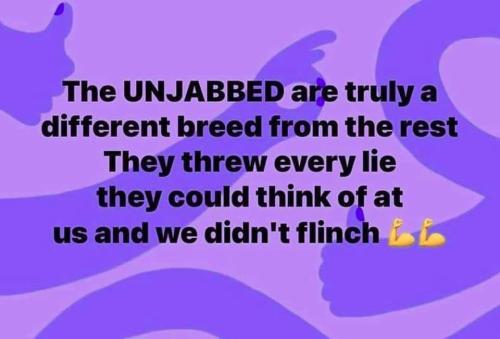 FB_IMG_1657844398101