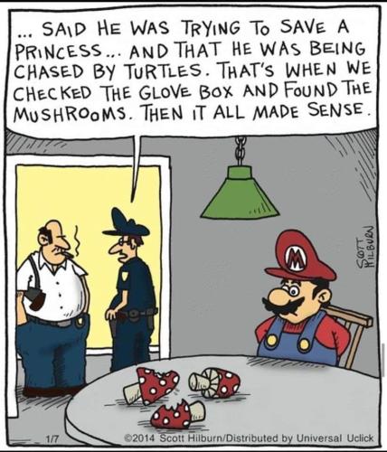 295338344_166445885909658_1095650000263326101_n