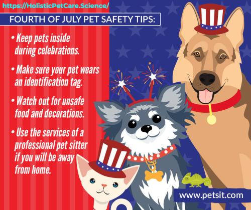 4th of july pet safety