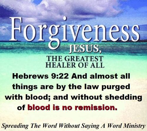 1236225_982936691788462_8067142195800704156_n