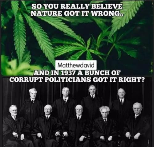 Screenshot_20220703-131829_MeWe