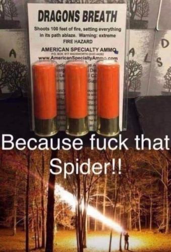 FB_IMG_1658340704790