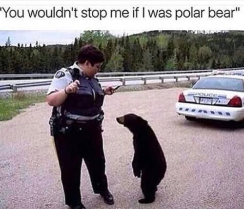 tumblr_fa760b8ba483f99560880dcc49ab6326_2953cc73_540