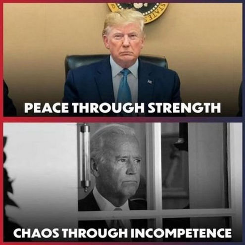 trump163