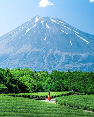 292692261_5002244713218779_3405528017600840836_n