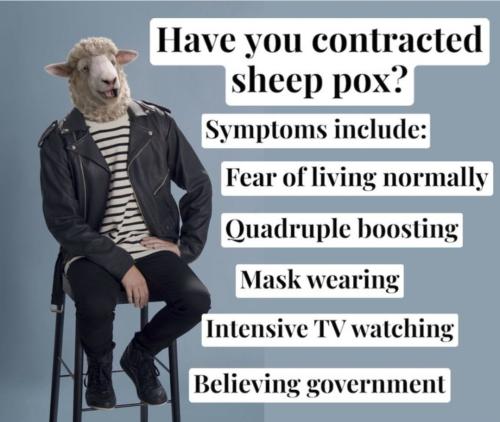 Screenshot_20220730-213343_Chrome