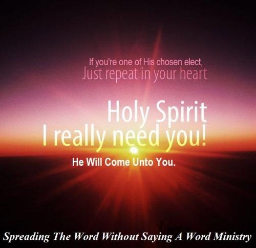 1235221_986995751382556_8679750214389187315_n