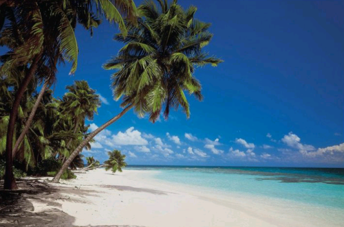 Screenshot_20220717-172829~2