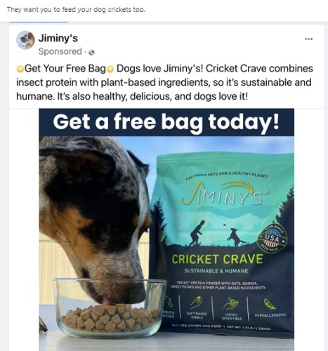 captures_chrome-capture-2022-6-6