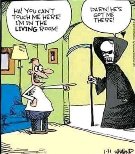 294014765_347034557616577_2654821497190842491_n