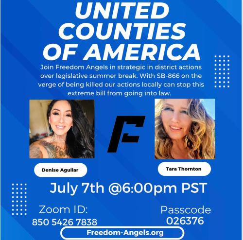 Zoom - July 7, 2022 - United Counties of America