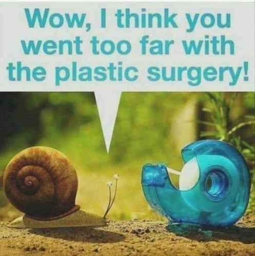 FB_IMG_1658329444082