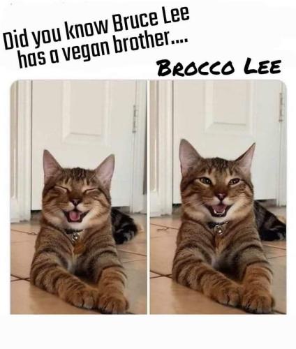 FB_IMG_1656978255506
