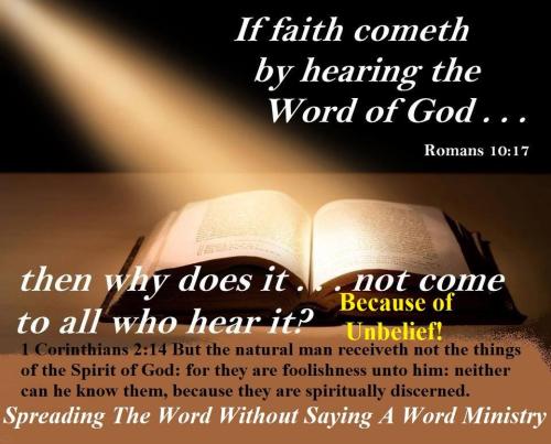 940999_980925711989560_5390840720829321096_n