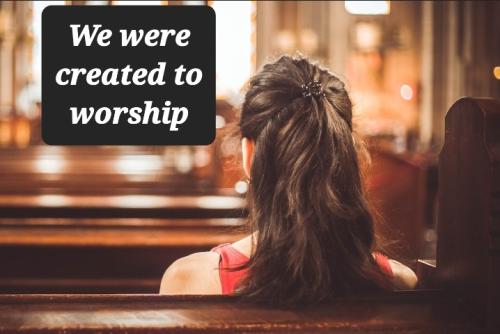 Screenshot_20220725-081837_DuckDuckGo