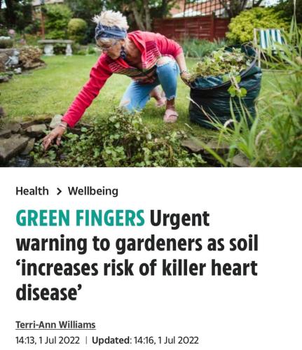 FB_IMG_1656786452926