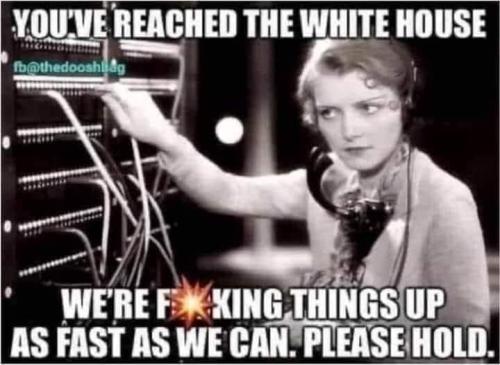 White House 1
