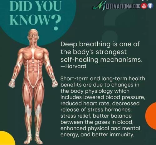 295961273_611764490320530_8474591144932625119_n