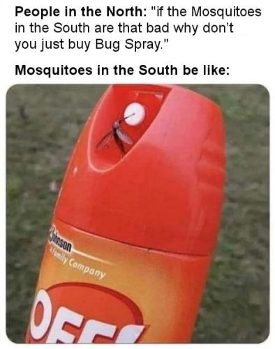 if the Mosquitoes in the South are that bad why dont you just buy Bug Spray