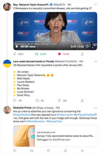 @madeintheusanj twit twitter Lara reads banned books Screen Shot 2022-07-24 at 10.31.53 AM