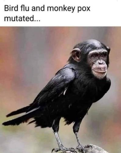 FB_IMG_1657410702892