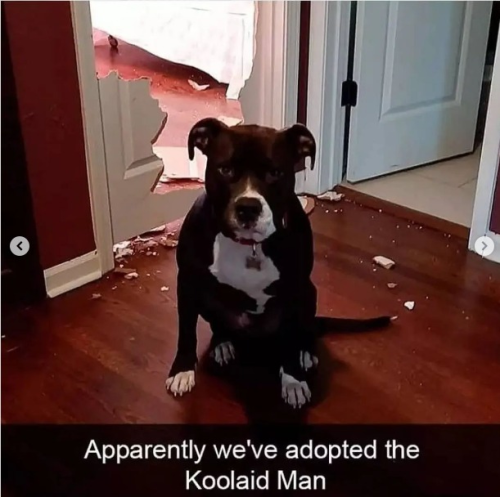 captures_chrome-capture-2022-6-13 (21)