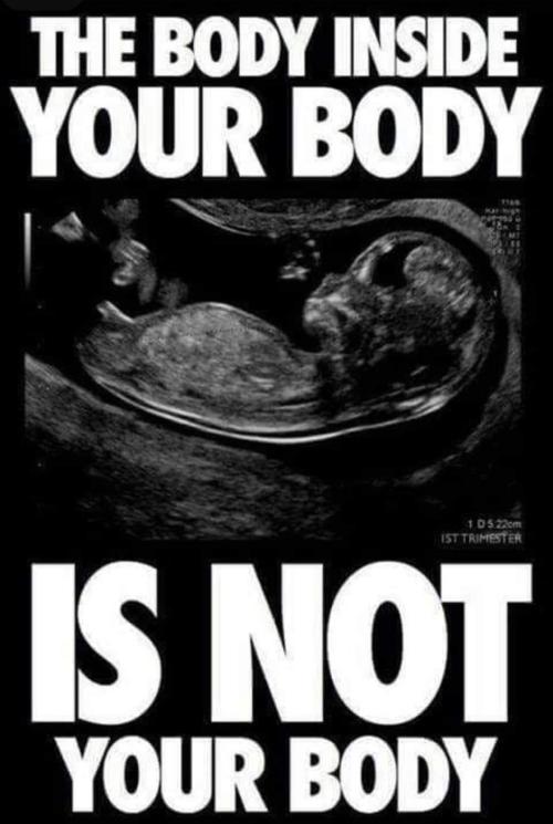 FB_IMG_1651800156880