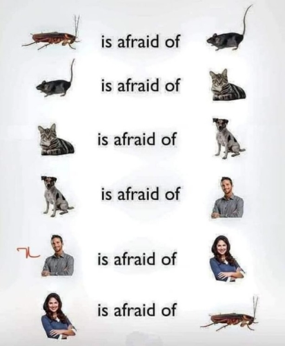 captures_chrome-capture-2022-6-2 (4)