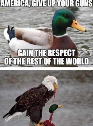 FB_IMG_1656976757736