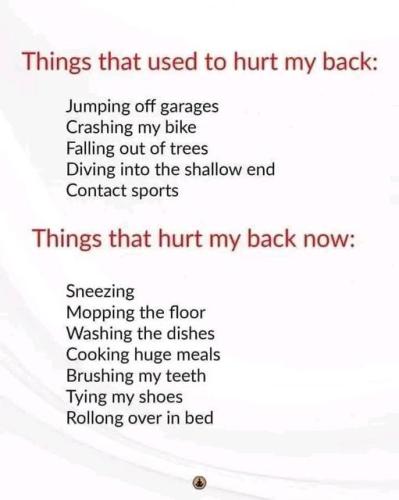 290798343_3343582899209051_6916214515767326410_n