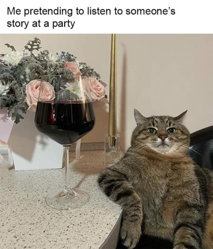 FB_IMG_1658235837536