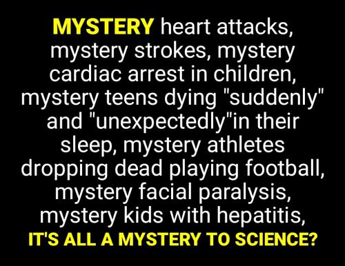 Screenshot_2022-07-25-12-46-12-560_cn.wps.moffice_eng~2