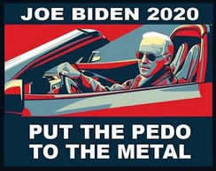 pedo joe29