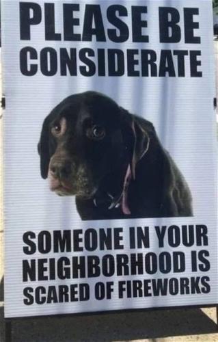 5f391b55-edcb-48ab-a91c-9c8a0d4623a1