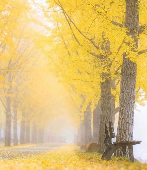 Screenshot_20220630-192726