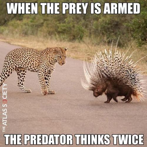 294720737_10160079686860351_617753522261283929_n