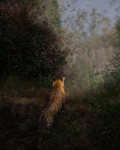 tumblr_1cd38398fb7c9e6dccd95fb6098f019d_c7f458a8_2048