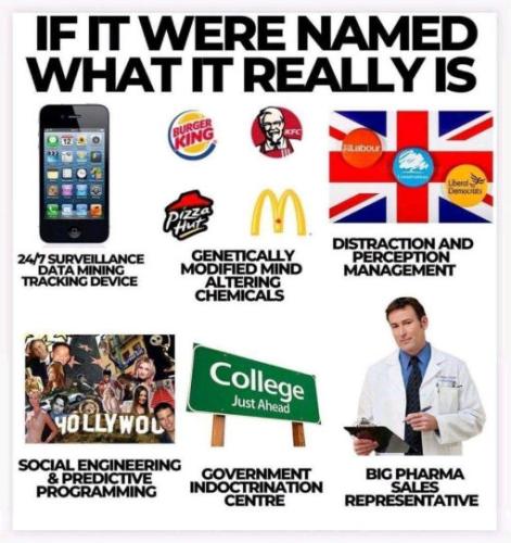 programmed02
