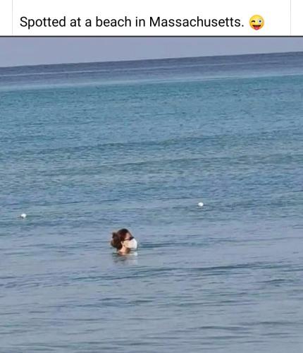 08:21:55 GMT-0400 (EDT)