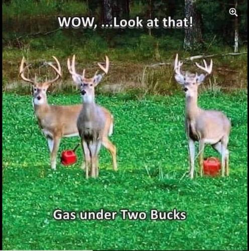 291823545_5374292589330629_8624936441897784570_n