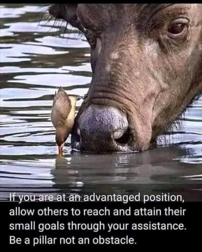 operanews1657907429807