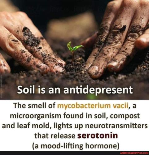 975c60ccd9c340d9f2a28602e2c52da4056a6bbd046a13f55ed74f9a24a8bea3_1