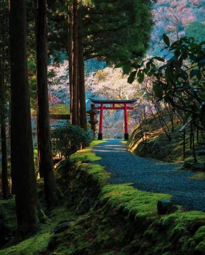 290915962_559225535831922_159061169034262988_n