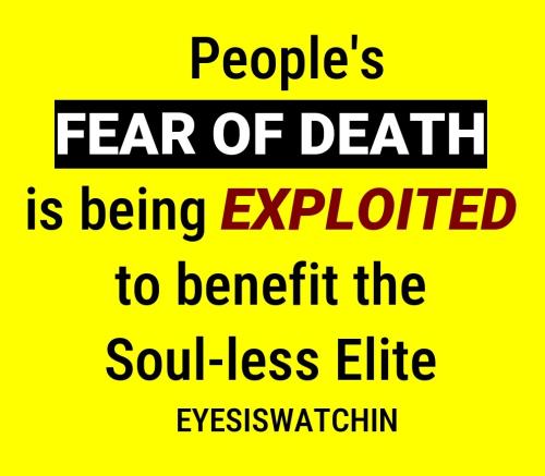 Screenshot_2022-06-29-15-43-41-910_softmaker.applications.office.textmaker~2