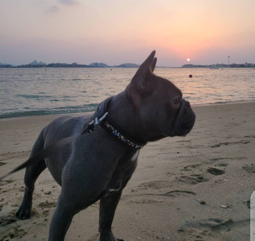 Screenshot_20220720-233156~2