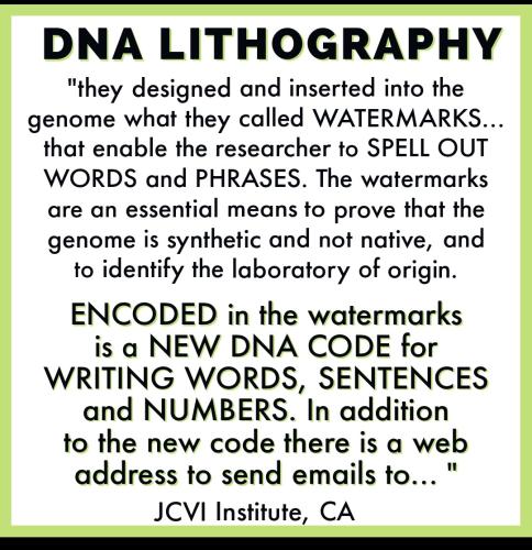 Screenshot_2022-07-09-15-07-25-404_com.google.android.apps.photos~2